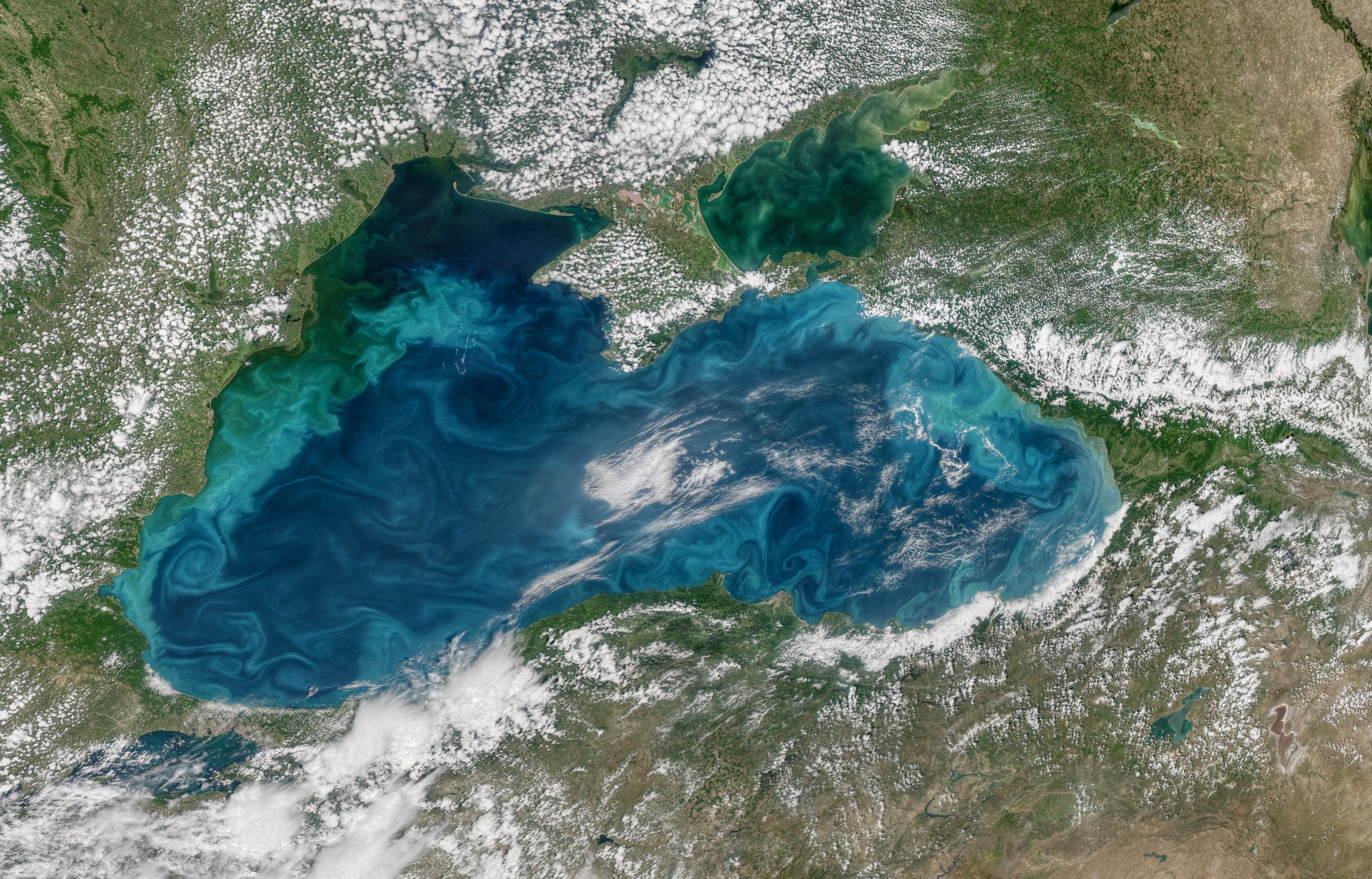 (Black Sea)
